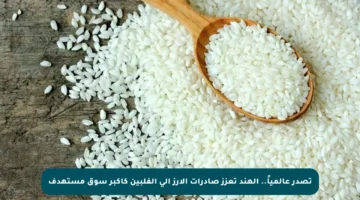 تصدر عالمياً.. الهند تعزز صادرات الأرز إلى الفلبين كأكبر سوق مستهدف